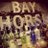 Bay Horse