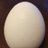 Colombo_egg