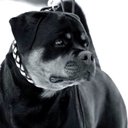 Balios Xanthos (@0160Adnt) Twitter