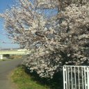 田代大成 (@0131Taiei) Twitter