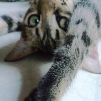 @j_tk_kn