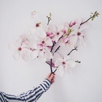 @3bo_r1