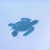 turtleblue