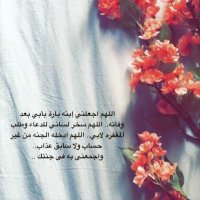 @biso_111