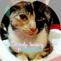 @WendyySuarez12