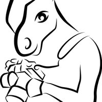 @foto_poni