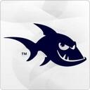 Bluefishgroup