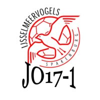 @vogelsjo17