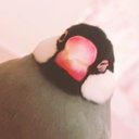 ふわこ
