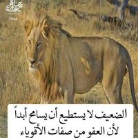 @Mohamma84500718