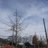 2018/02/05 15:49 小林愛知