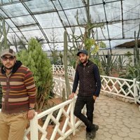 ولی قره چوله