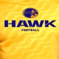 @MTHawkfootball