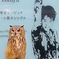 @umiry_riko