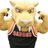 Salisbury Athletics