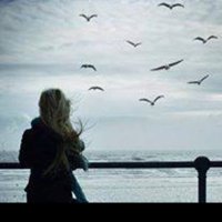 @utut888