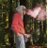 Twitter result for Dabs from pbsdabs