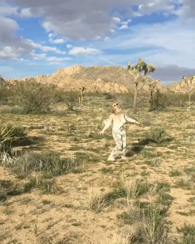 #Joshuatree got me like https://t.co/95ULg9nNcZ