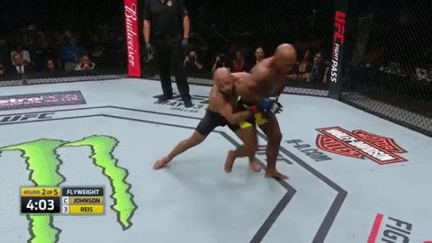 RT @ufc: DID @MightyMouseUFC JUST THROW A HEAD KICK WHILE ON REIS' BACK?! 

#UFCKansasCity https://t.co/hlb4jQmMPd