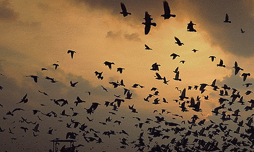 With an empty heart, I'm free again http://t.co/vKXkm6oi4W http://t.co/WDuz6e6f5Z