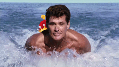 RT @PledgeMusic: .@DavidHasselhoff's Hits of the 80's is making a splash with these pop covers: https://t.co/myZlBkoUPo https://t.co/sBdttu…