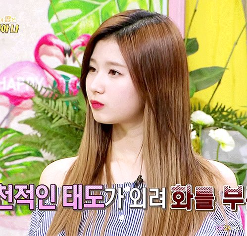 사나 트와이스 TWICE SANA 쯔위 다현 ICN TW_NASABOX