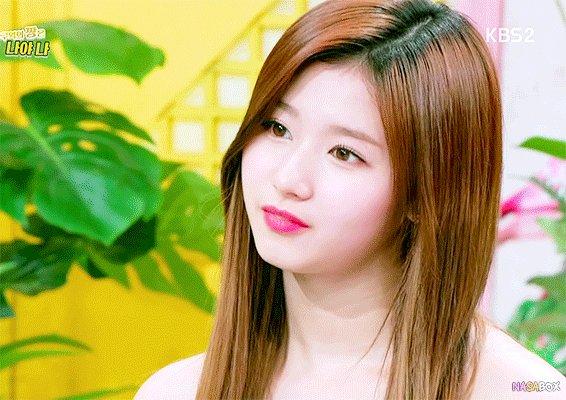 사나 트와이스 TWICE SANA 쯔위 다현 ICN TW_NASABOX