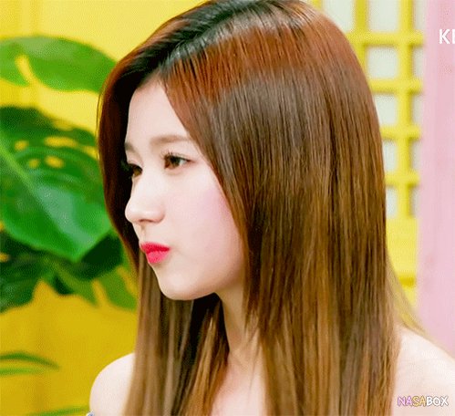 사나 트와이스 TWICE SANA 쯔위 다현 ICN TW_NASABOX