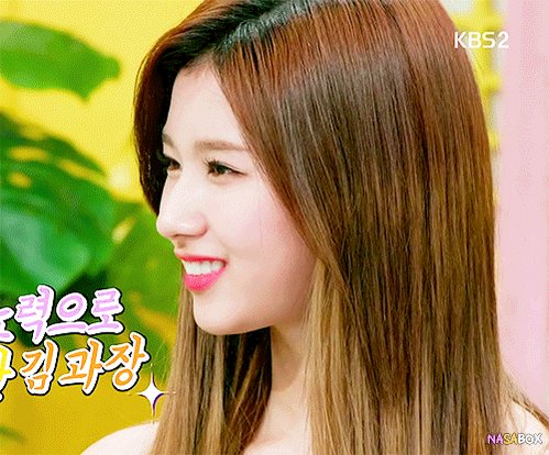 사나 트와이스 TWICE SANA 쯔위 다현 ICN TW_NASABOX