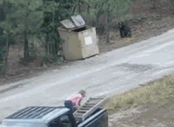 RT @247razz: Dudes supply a ladder for cub bears to escape from dumpster. It's #HardToBearMonday https://t.co/8v5kZFKpRT