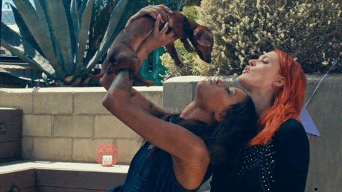 #CantStopTheFeeling @iconapop https://t.co/7jdaxTqVrT https://t.co/CUxSH8TER9