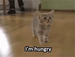 Morning!! I Feel Hungry....You? https://t.co/om2qCLb2o5