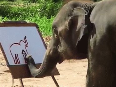 RT @Jessberrie: We could learn a lot from Elephants #WorldElephantDay ???????????????????????? https://t.co/uAQIMSFHZ4