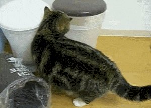 RT @Joyannah73: #WhenIMeditate I find my happy place https://t.co/pTmEizAPaD