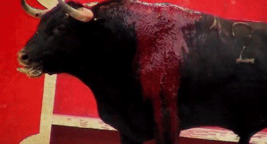 RT @peta: Does this look like “entertainment” to you?

RETWEET if you know bullfighting needs to end! https://t.co/OE6DTKHDFn