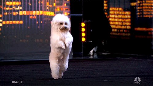 .@DwyaneWade do you think we could teach Hurley how to do this? ????????????#agt https://t.co/Z9iYNA14r1