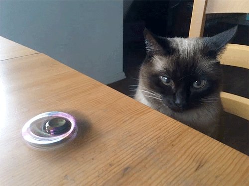 #VIRAL ¿Qué es un #spinner y por qué es la sensación? https://t.co/24JblitQjF...