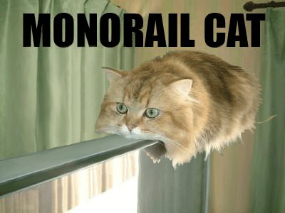Attention passengers. Monorail Cat is experiencing service delays of up to 3 hours due to lack of cat toys. https://t.co/32DsYQVAoH