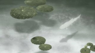 1166. 「충사(蟲師)」 1166. 「충사(蟲師)」