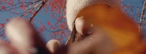 誰かの人生の一瞬に刹那的な美しさを見出して、そこに涙するみたいな感情、自分にはひどく無縁なことのように思っていたのですが 誰かの人生の一瞬に刹那的な美しさを見出して、そこに涙するみたいな感情、自分にはひどく無縁なことのように思っていたのですが
