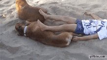 #IAmHappiestWhen I see instant karma https://t.co/He15ffwmUY