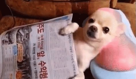 #NationalRelaxationDay https://t.co/6ctybSsAfu