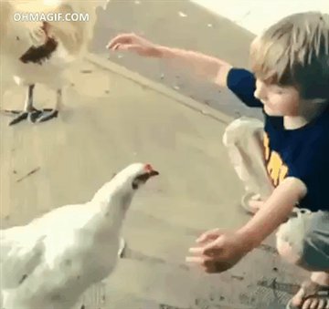RT @CWIntl: It takes nothing from a human to be kind to an animal. ????????????????❤️ #BeKind https://t.co/PsVpmYCHzP