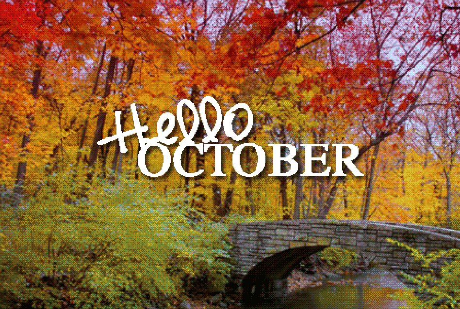 1st of October. ????????

My favourite time of year ???????????????? https://t.co/1SLGkbYPBq