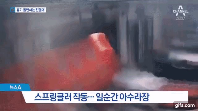 포항 지진 경북 규모 재난문자 새벽 발생 대피소 Schalom1004