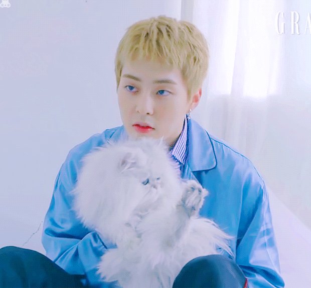 이지현 꽃이야 그대는 봄이고 온통 그대지 그러니 xiu0326____