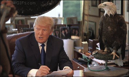 RT @SethMacFarlane: Trump: “I really believe I'd run in there even if I didn't have a weapon.
