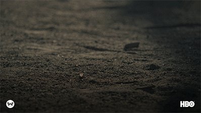 RT @WestworldHBO: “My path always leads me back to you.”
Happy #ValentinesDay to all in the park. #Westworld https://t.co/n3JV7oR1xV
