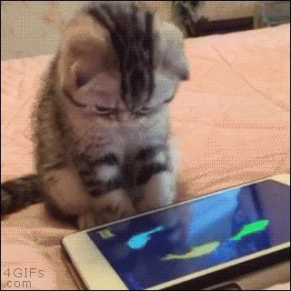 Here is a cute kitten to brighten up your Monday blues! 😃🐱 https://t.co/FPNKHpdxHQ