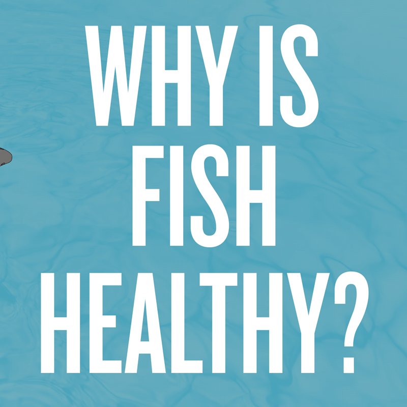 Why is fish healthy? ???? https://t.co/CyN8Dyk3y3 https://t.co/PQKDSkBGKO